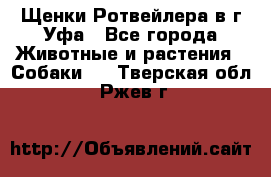 Щенки Ротвейлера в г.Уфа - Все города Животные и растения » Собаки   . Тверская обл.,Ржев г.